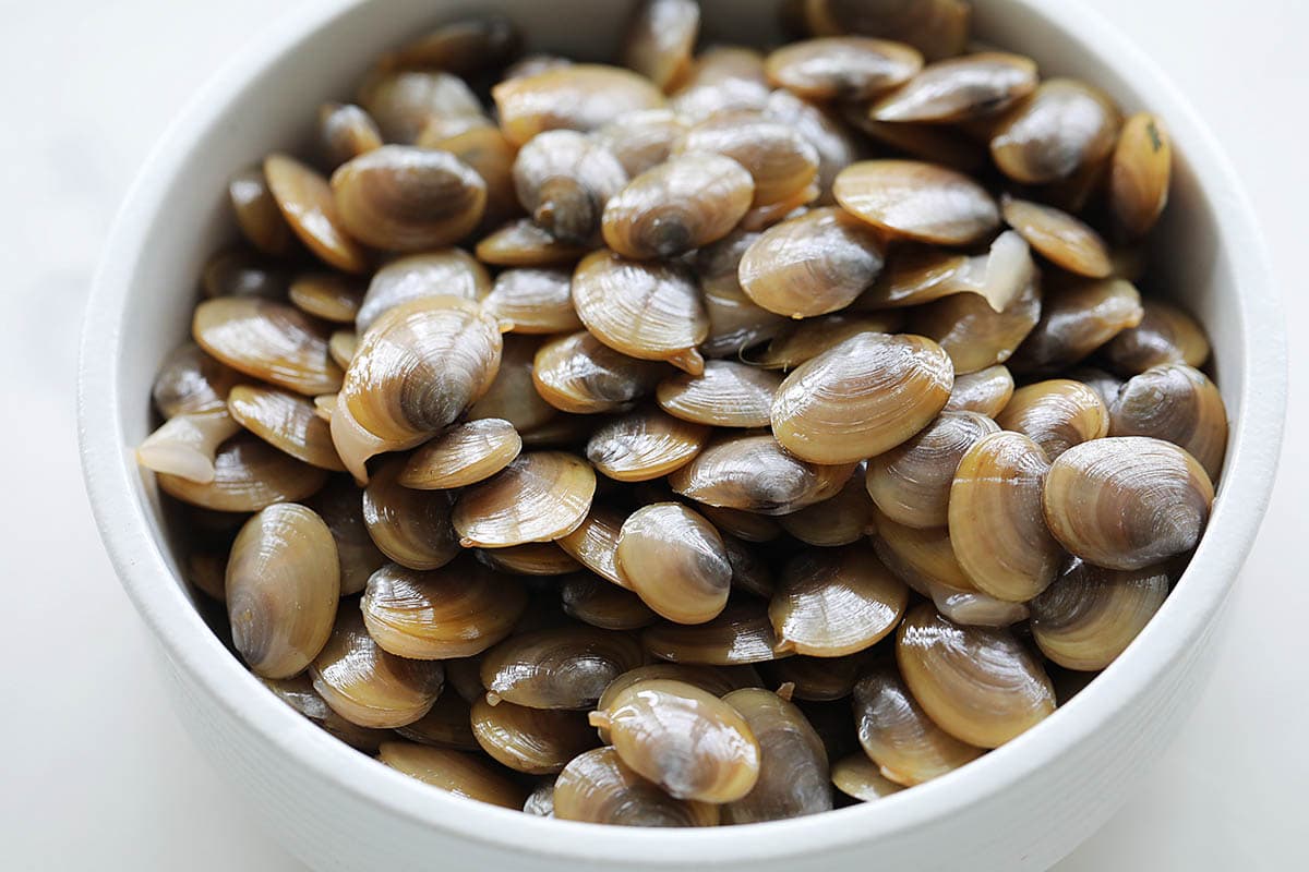 Fresh lala clams in a bowl. 