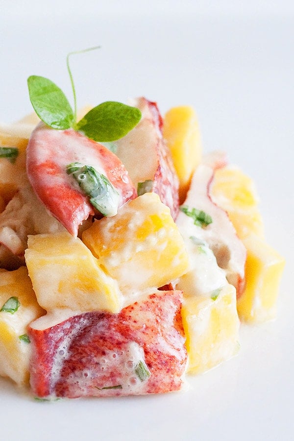 Lobster and mango salad - A refreshing and delicious lobster salad recipe with mango. Lobster and mango salad is a great salad to start a multi-course meal. | www.666630.xyz