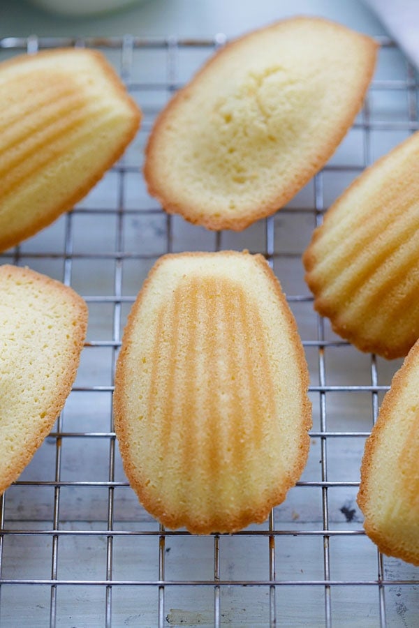 Petite French small shell-like shape sponge cake resting on a cooling rack.