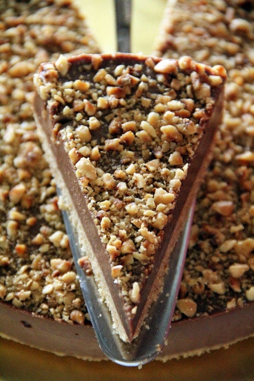 A slice of no bake Nutella cheesecake.