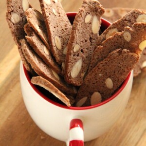 Chocolate Spiced Biscotti