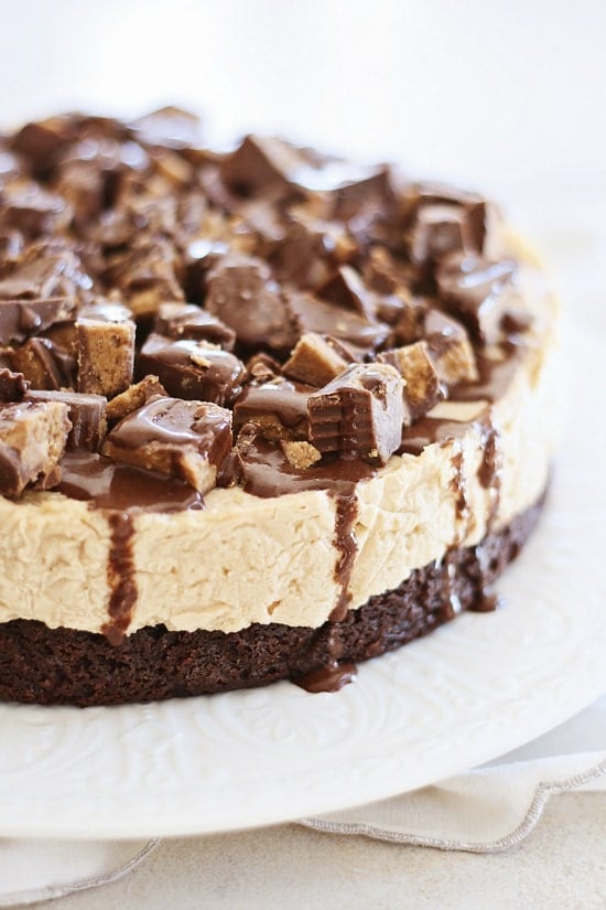 Combination of peanut butter, cheesecake, and brownies cake.