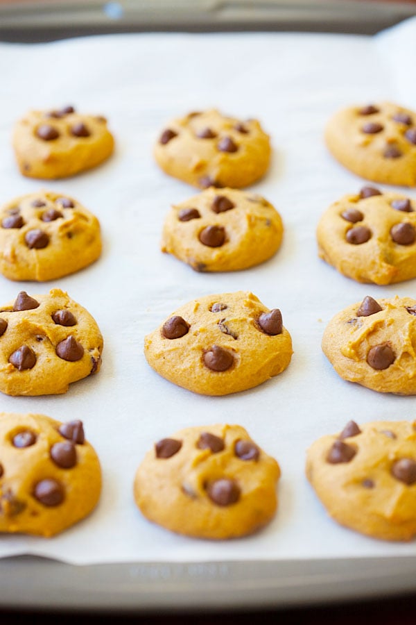 Pumpkin chocolate chip cookies pre-bake placed on baking sheet.