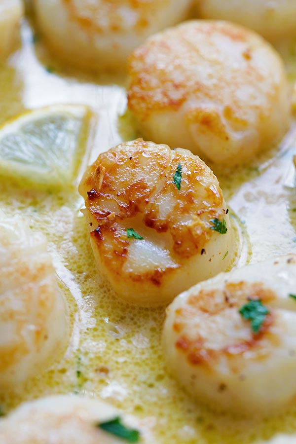 Creamy garlic scallops skillet close up.