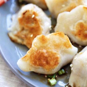 pan-fried dumplings