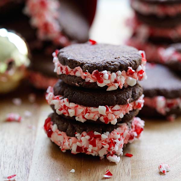 Chocolate Candy Cane Cookies