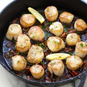 seared scallops