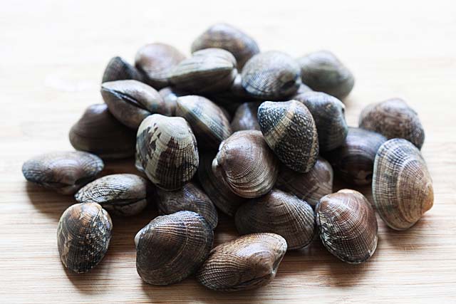 Manila clams for spaghetti alle vongole