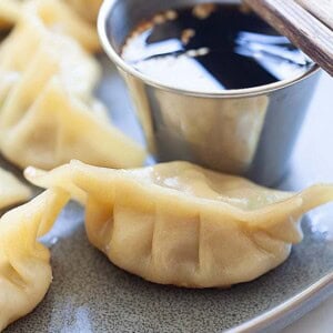 Potstickers.