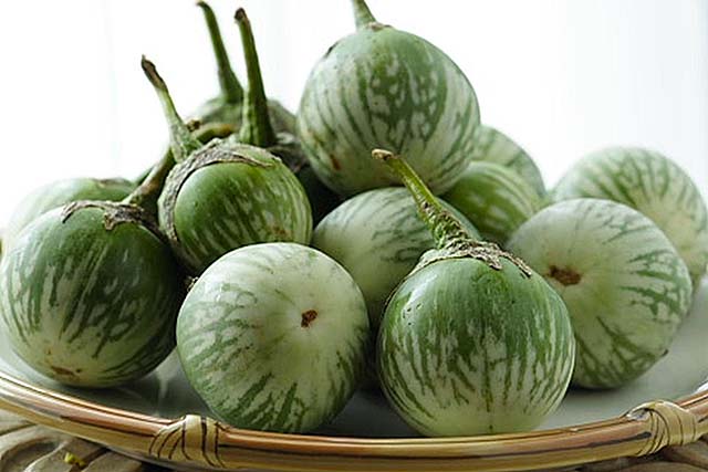 Thai round egg plant is a key ingredient in authentic green curry.