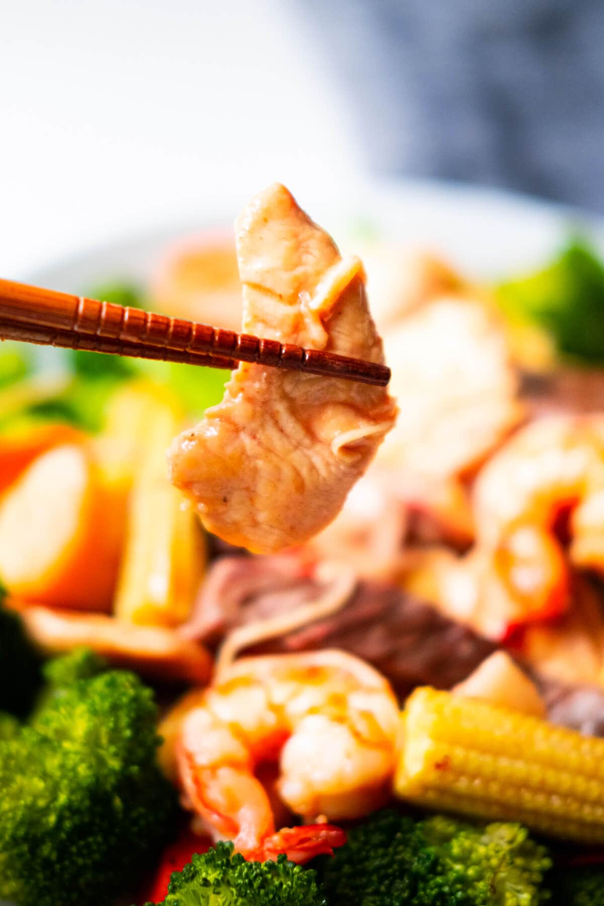 American-Chinese dish with seafood, meat, and vegetables cooked in brown sauce.