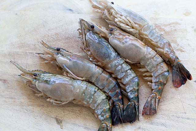 Fresh water shrimp or fresh water prawn.