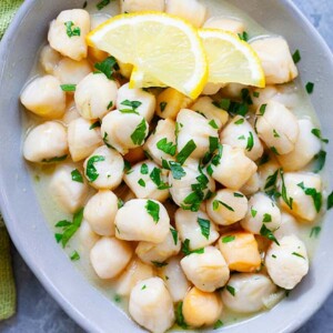 scallop recipes