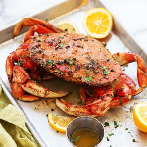 dungeness crab