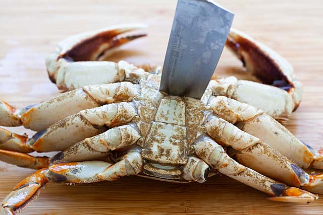 Dungeness crab with a knife in the middle of the body. 