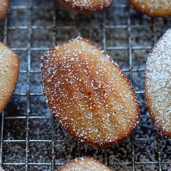 madeleines