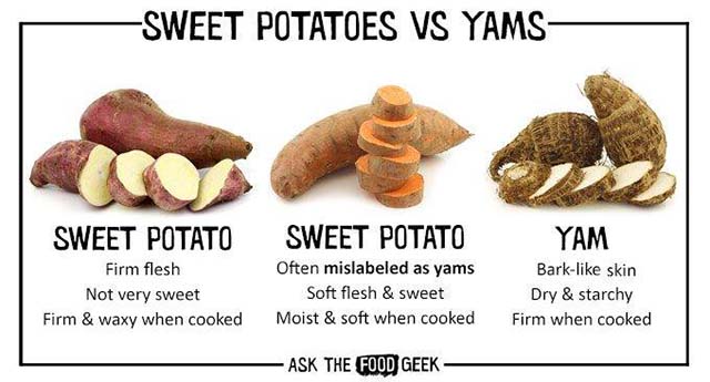 Sweet potatoes vs Yam