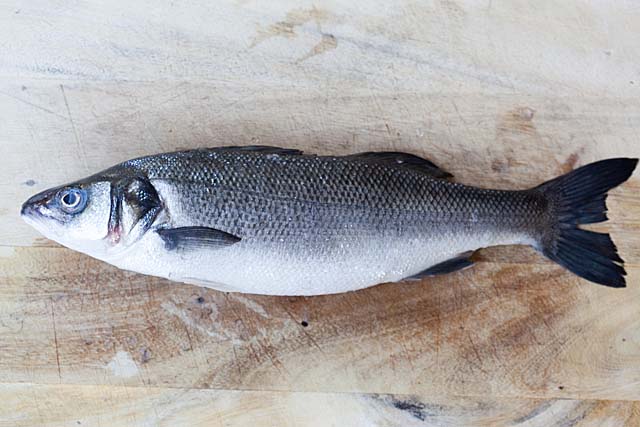 Branzino.