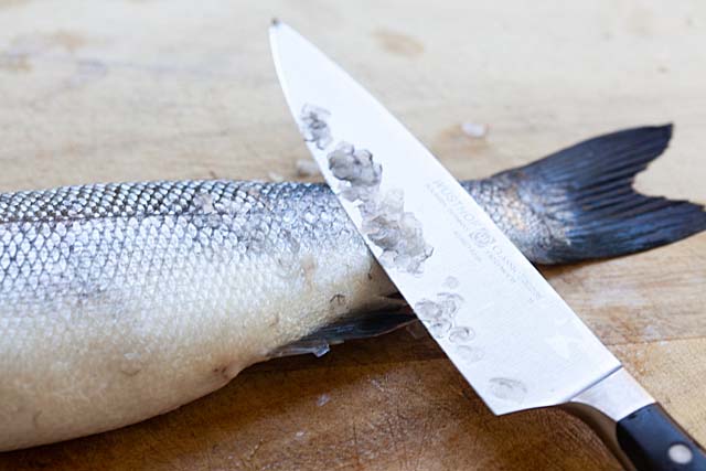 Cleaning branzino.