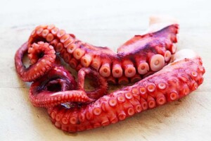 Boiled octopus