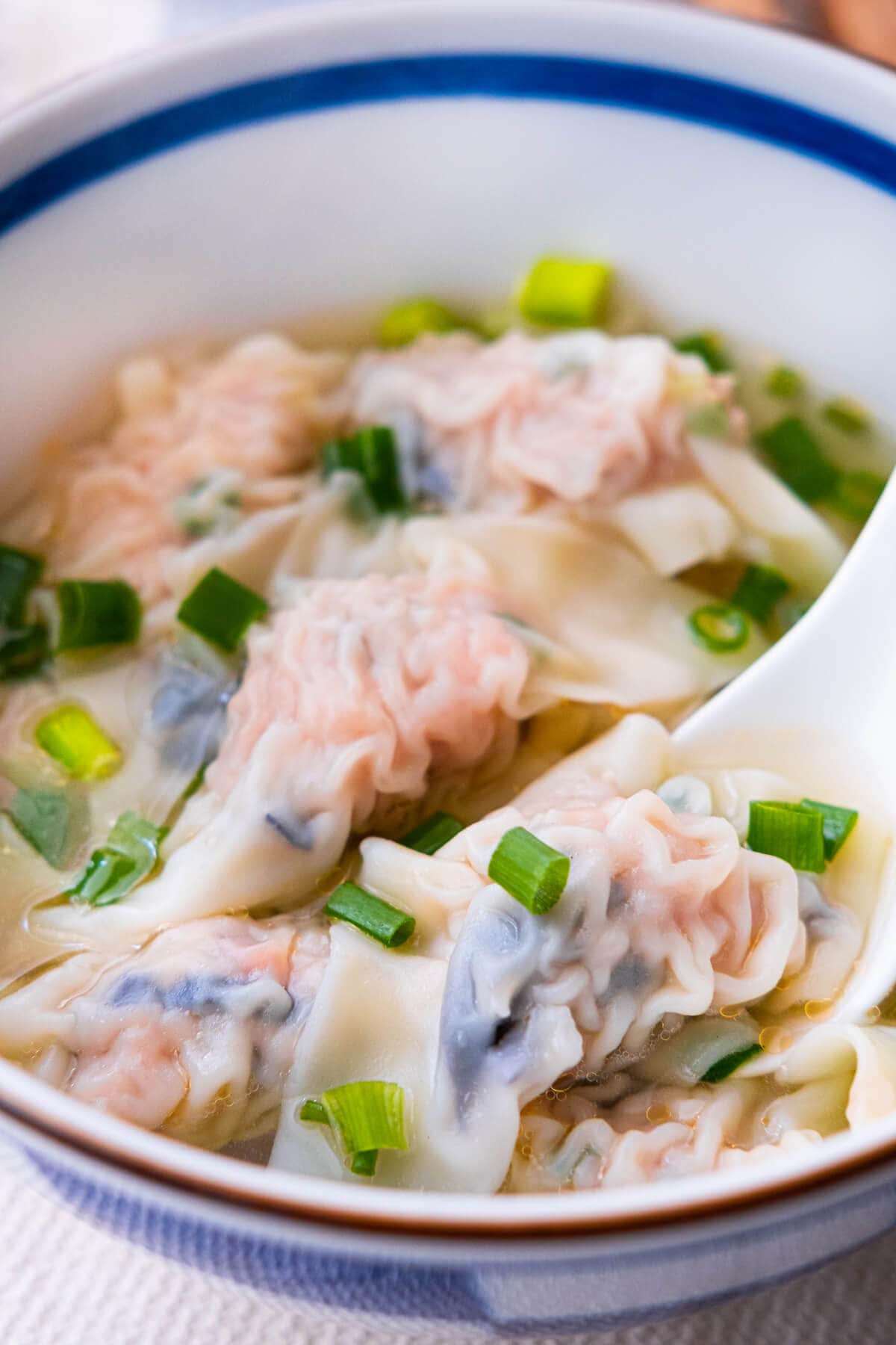 Asian pork dumpling soup topped with green onion. 