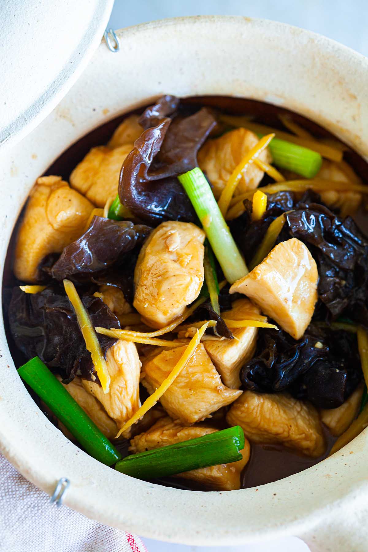 Healthy chicken stew with ginger and scallion.