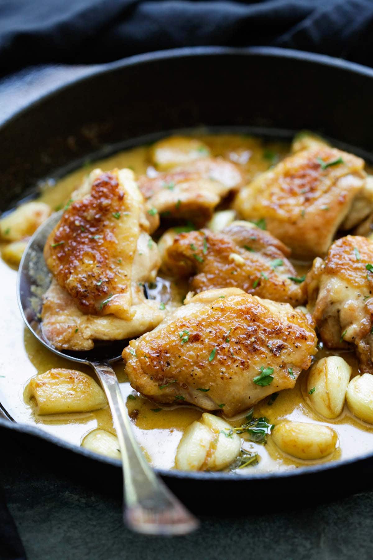 Chicken thighs in a creamy garlicky yogurt cream sauce.