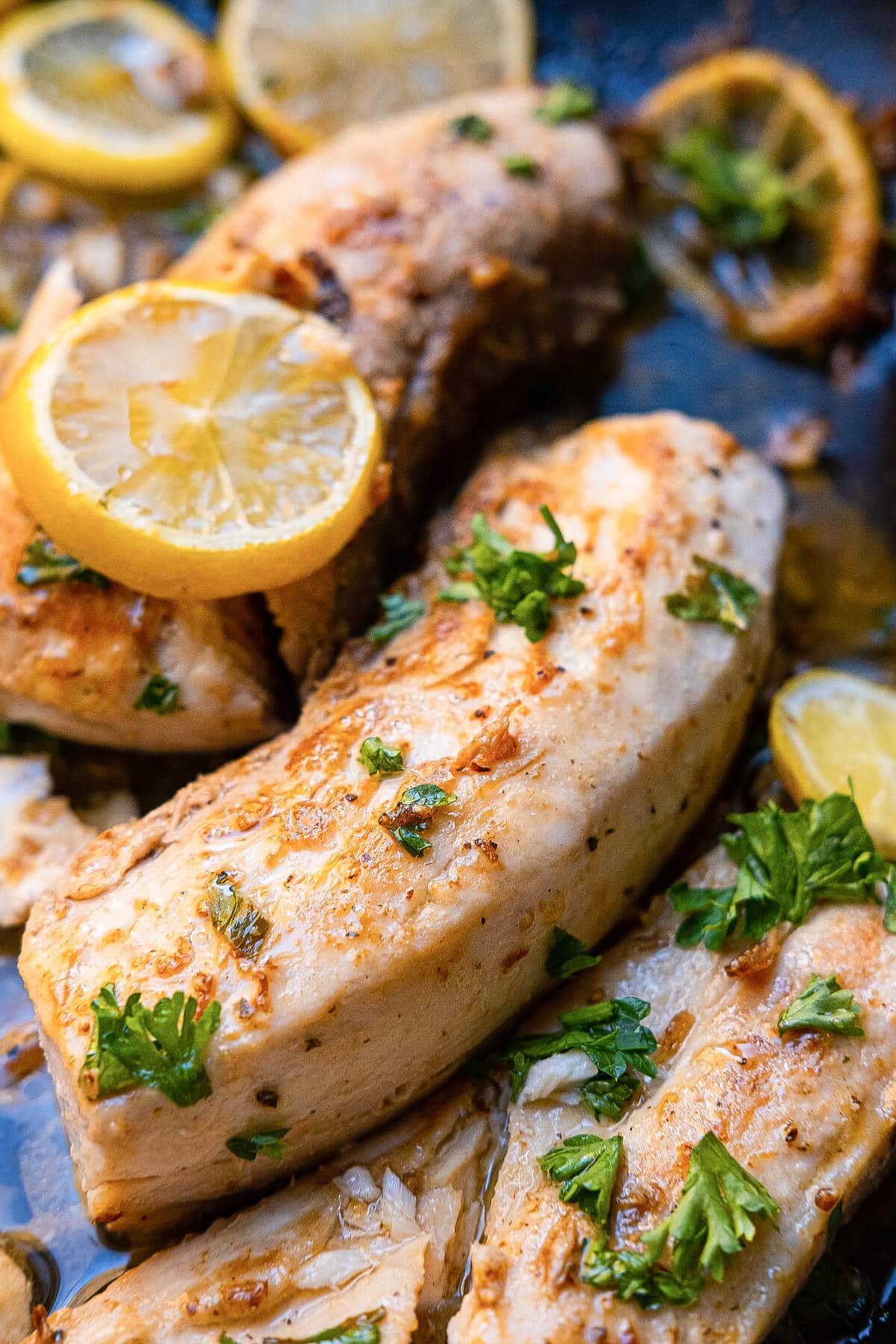 Close up shot of fillets immersed in flavorful garlic butter sauce with lemon slices and parsley on top. 