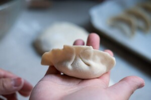 Assemble the Chinese dumplings