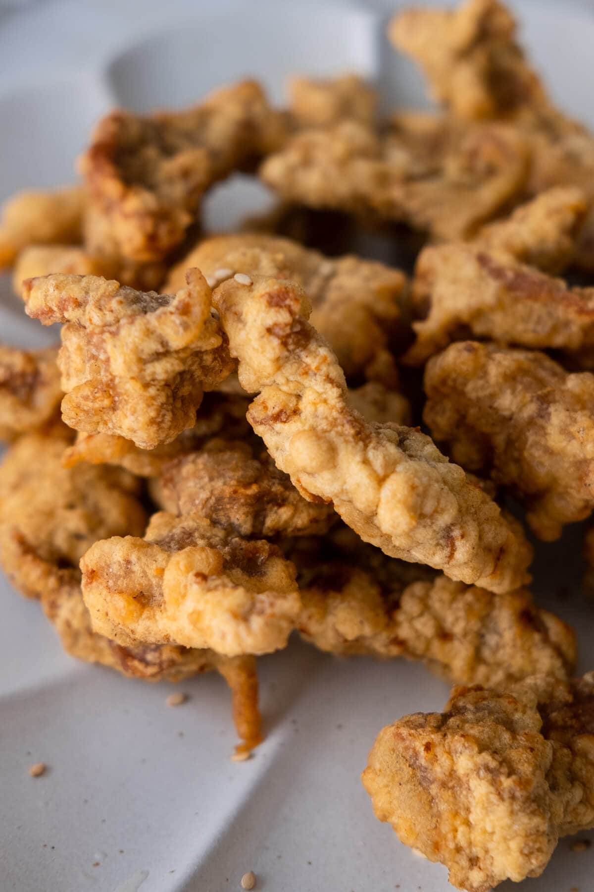 Close up shot of golden brown crunchy fried pork strips served on a plate.  