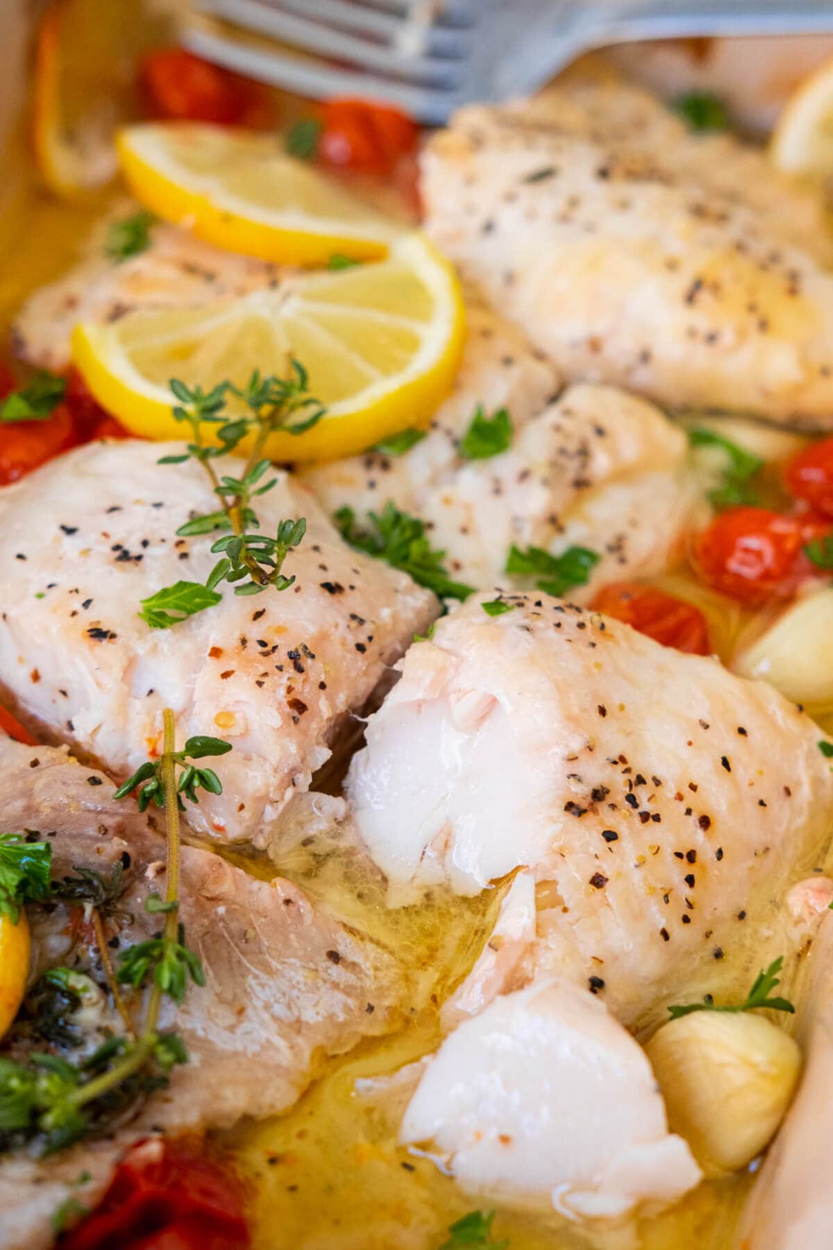 Flaky baked catfish with lemon slices and thyme on top. 