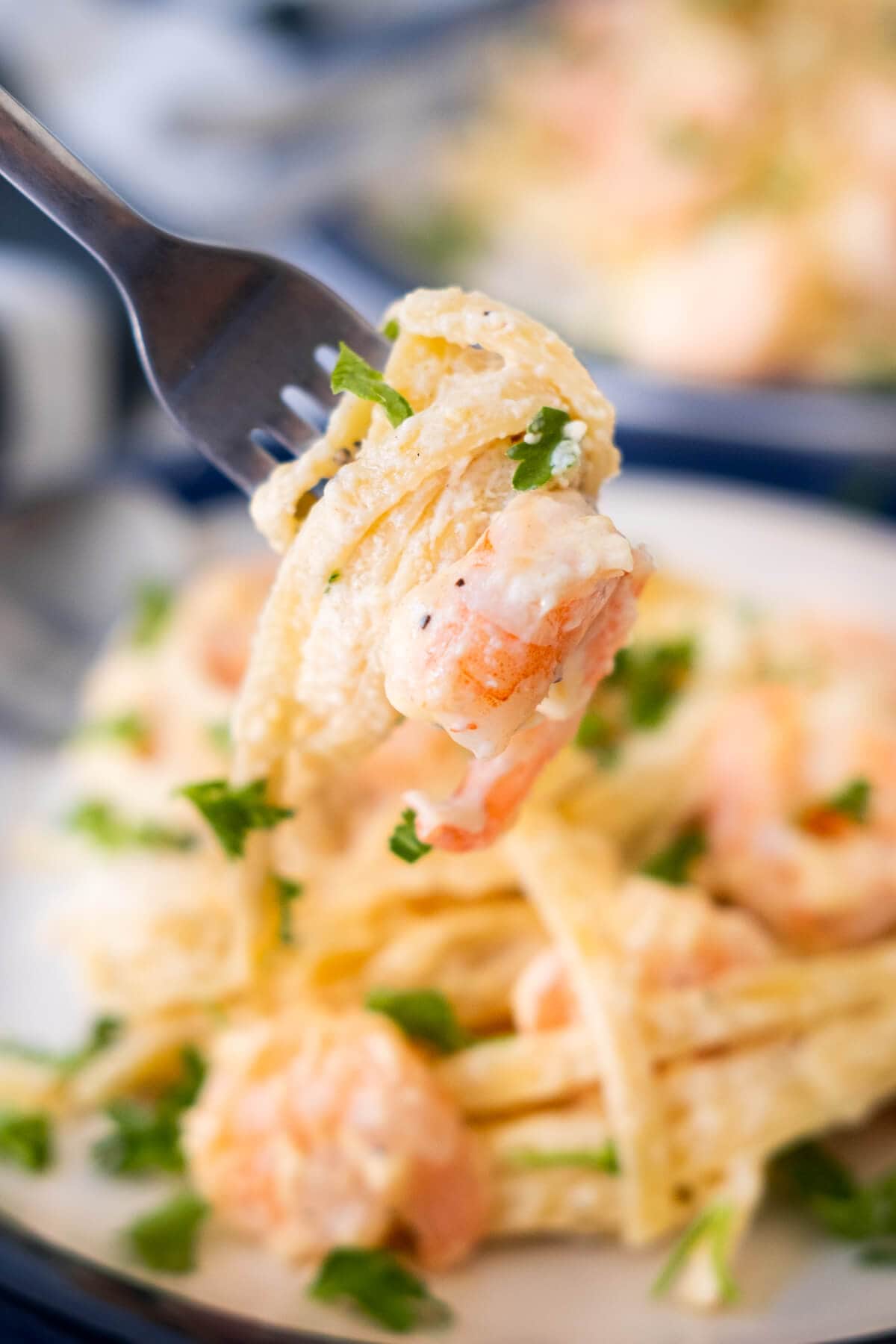 Fettuccine Alfredo with a shrimp swirled on a fork.