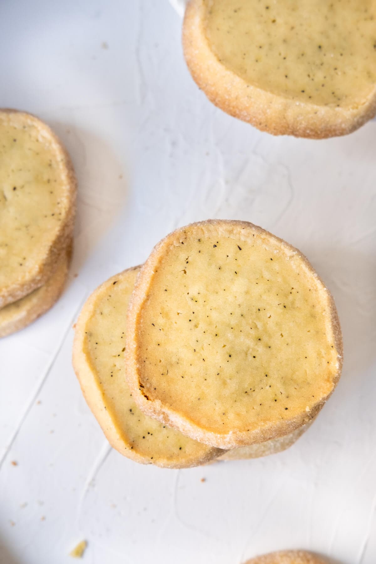 Five round freshly baked earl grey icebox cookie on a paper sheet..