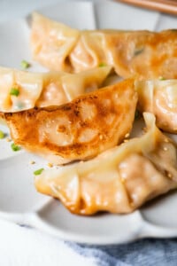 Close up on the bottom of pan-fried korean dumpling.