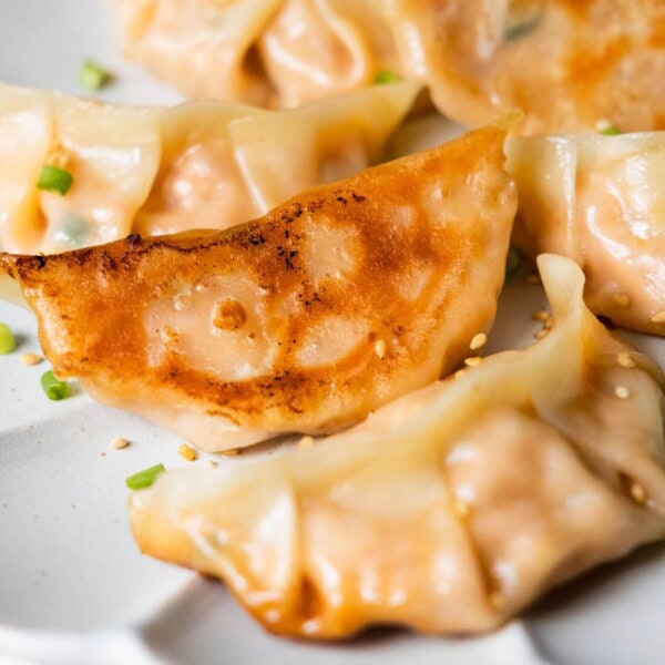 Close up on the bottom of pan-fried korean dumpling.