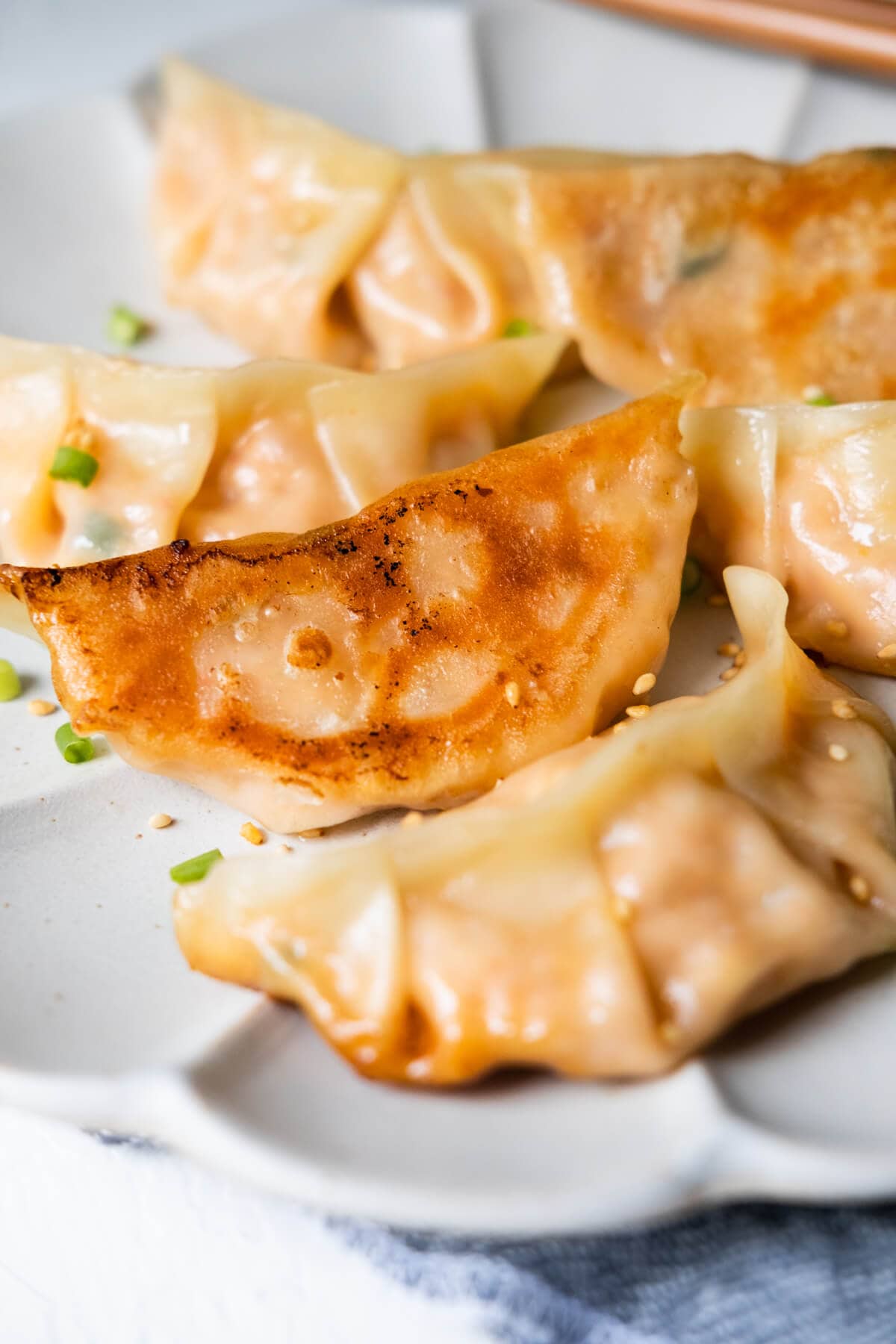 Close up on the bottom of pan-fried korean dumpling.