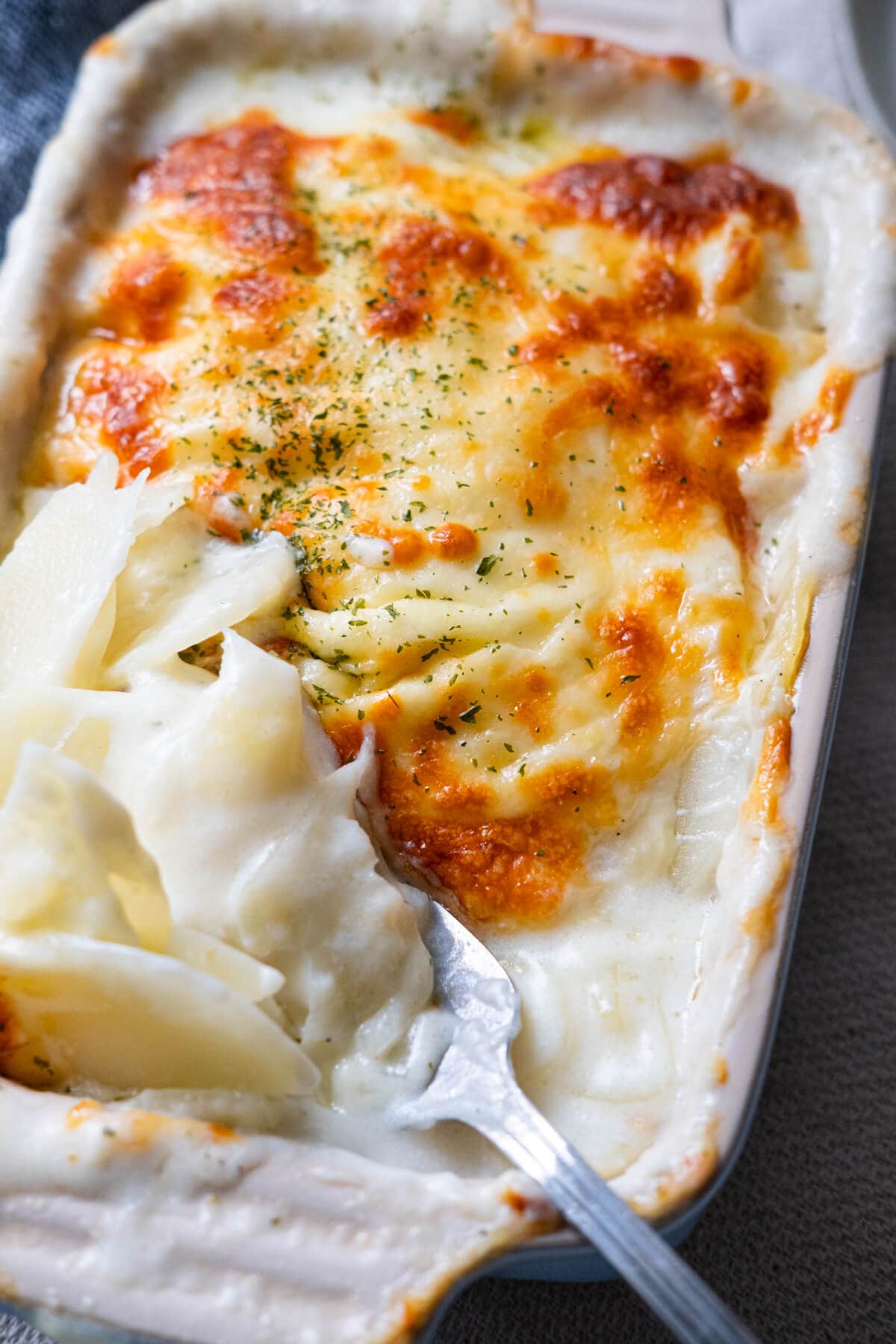 Thin sliced potato covered with creamy white sauce and topped with melting cheese in a baking dish. 