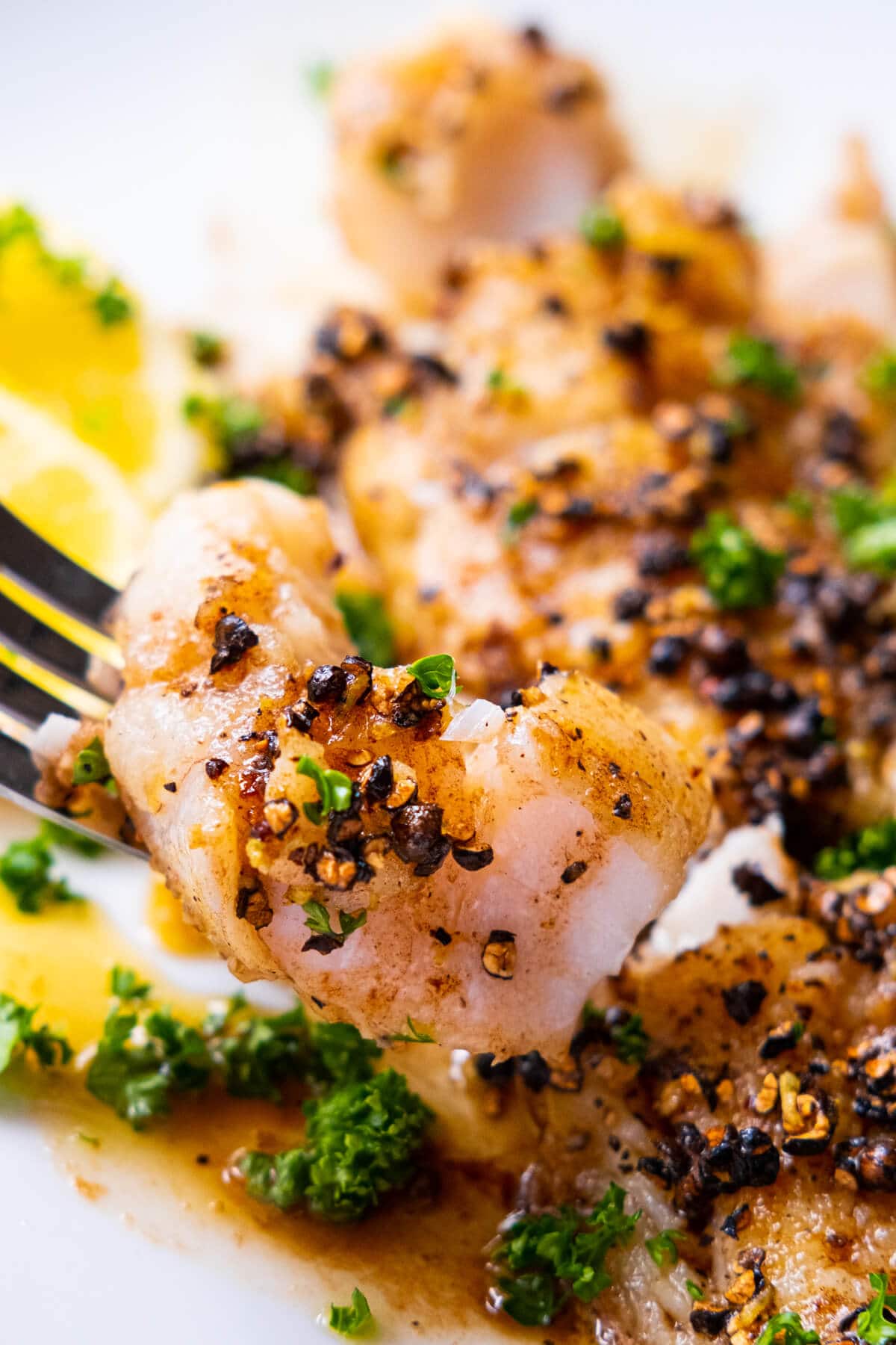 Close up on a piece of tender fish infused with black peppercorns and chopped parsley. 