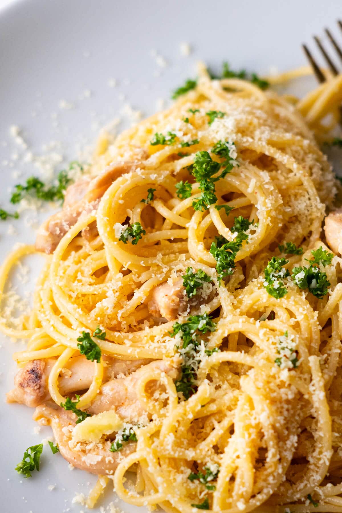 Parmesan coated pasta with tender chicken served on a white shallow plate and garnished with chopped parsley. 