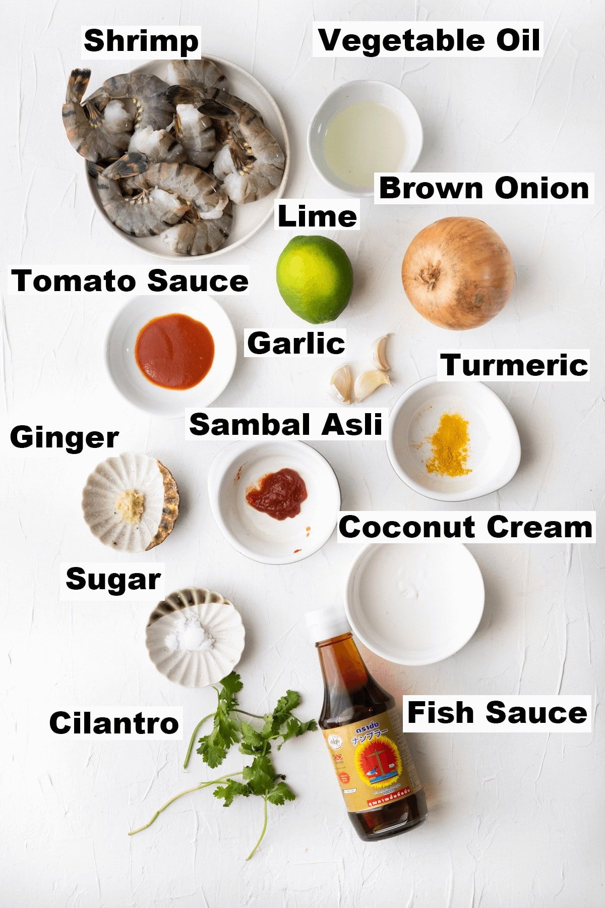 Ingredients for coconut chili shrimp recipe. 