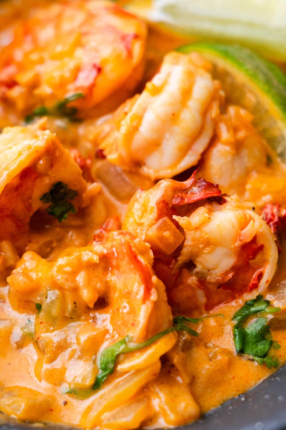 Big tiger prawn bathed in vibrant spicy coconut sauce. 