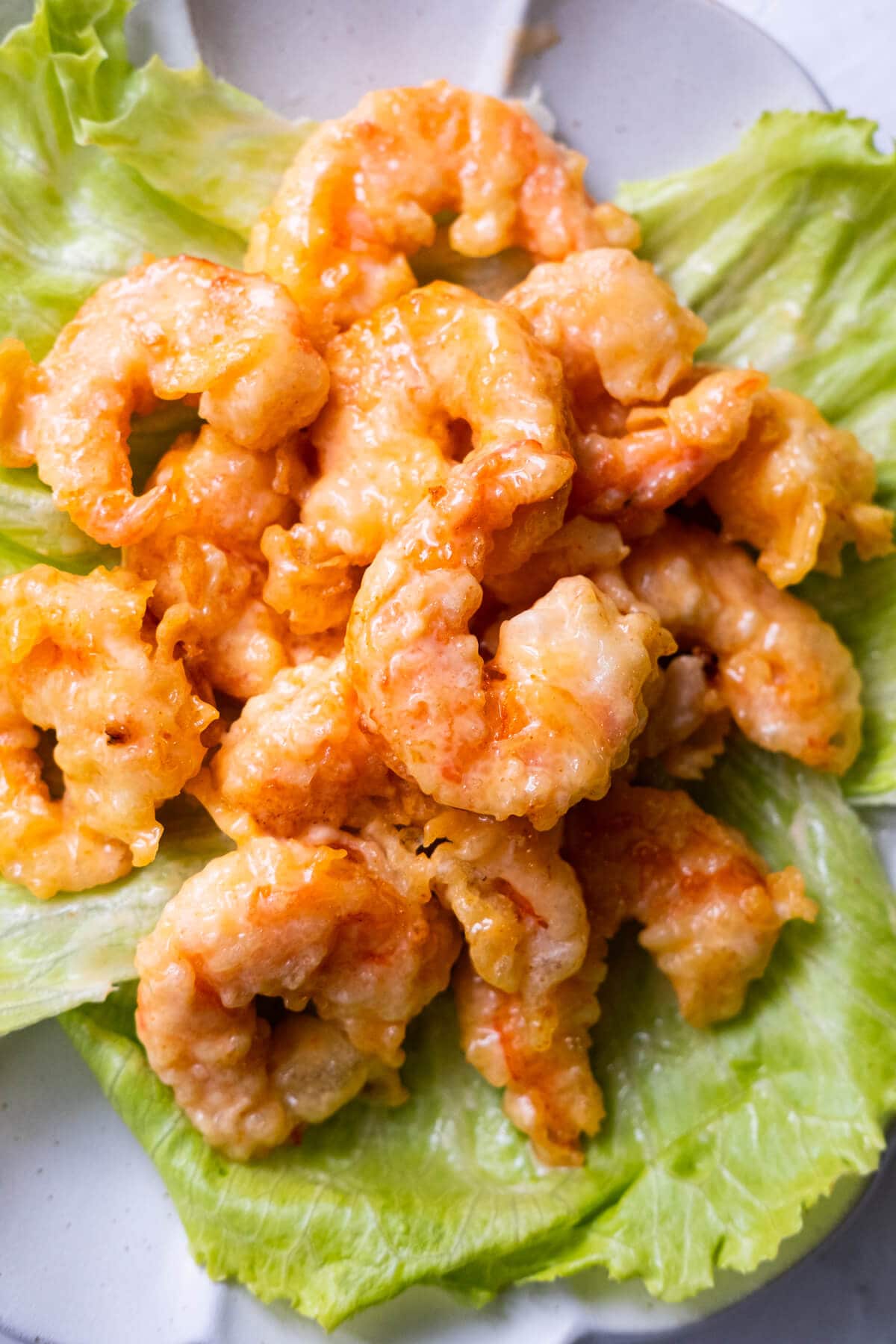 Dynamite shrimp coated with creamy dynamite shrimp sauce. 