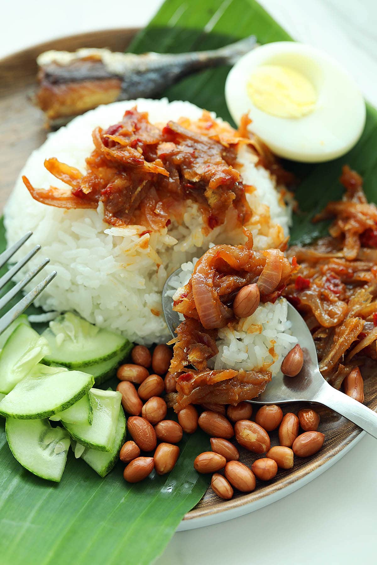 Nasi lemak rice with sambal on a spoon. 