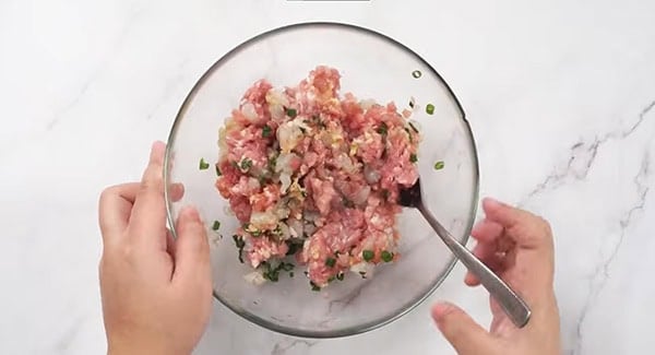 Mixing dumpling filling in a bowl. 