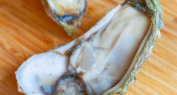 Raw oyster on the half shell. 