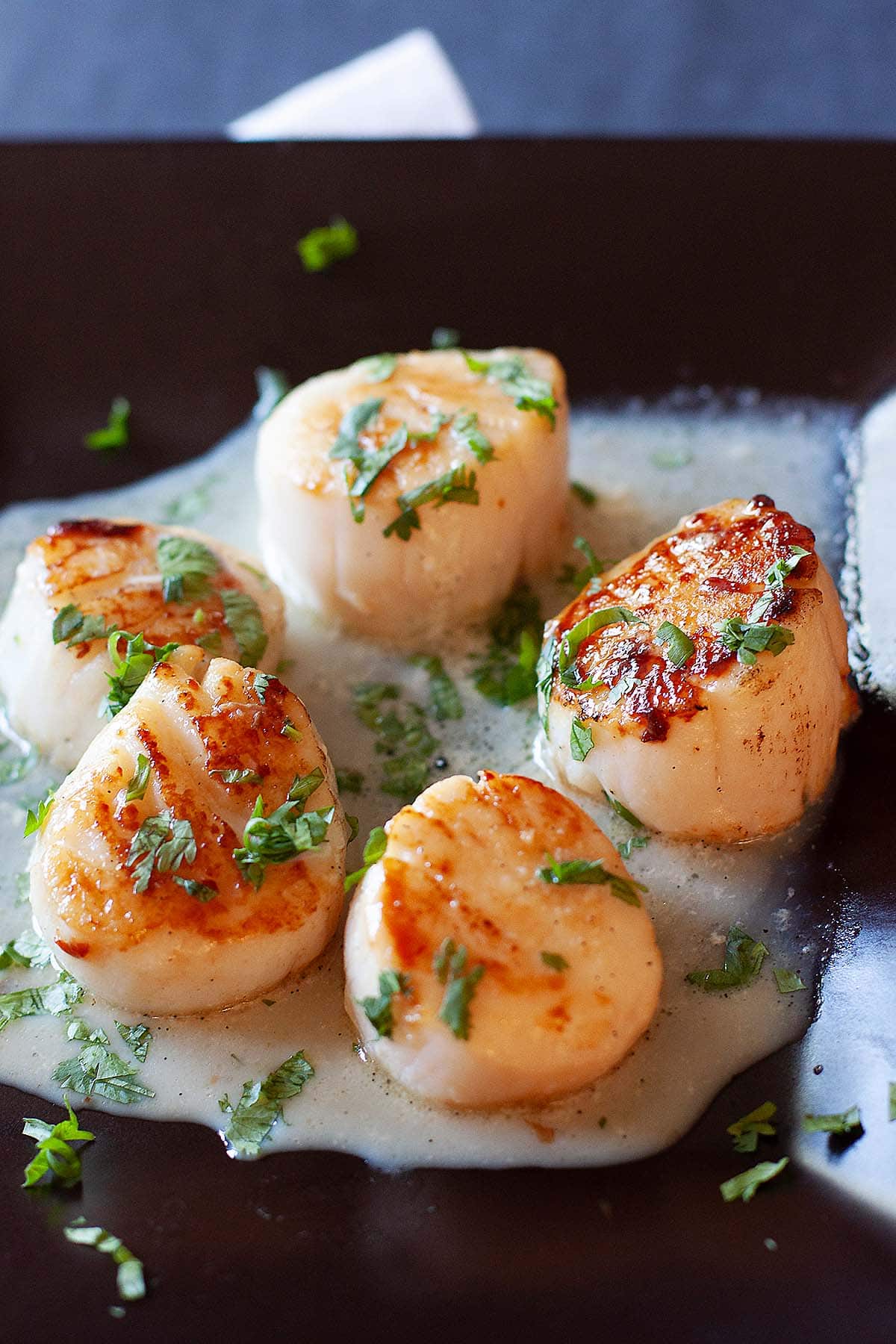 Perfectly cooked pan seared scallops with sauce. 