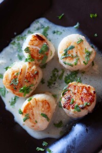 Seared Scallops with garlic herb sauce.