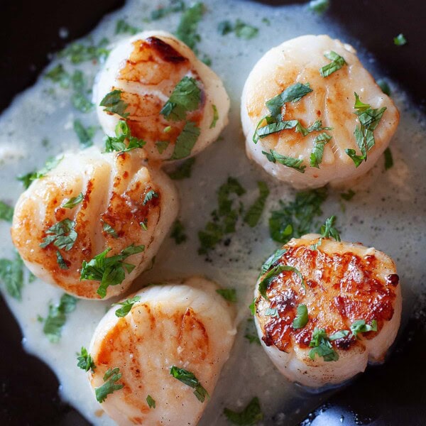 Seared Scallops with garlic herb sauce.