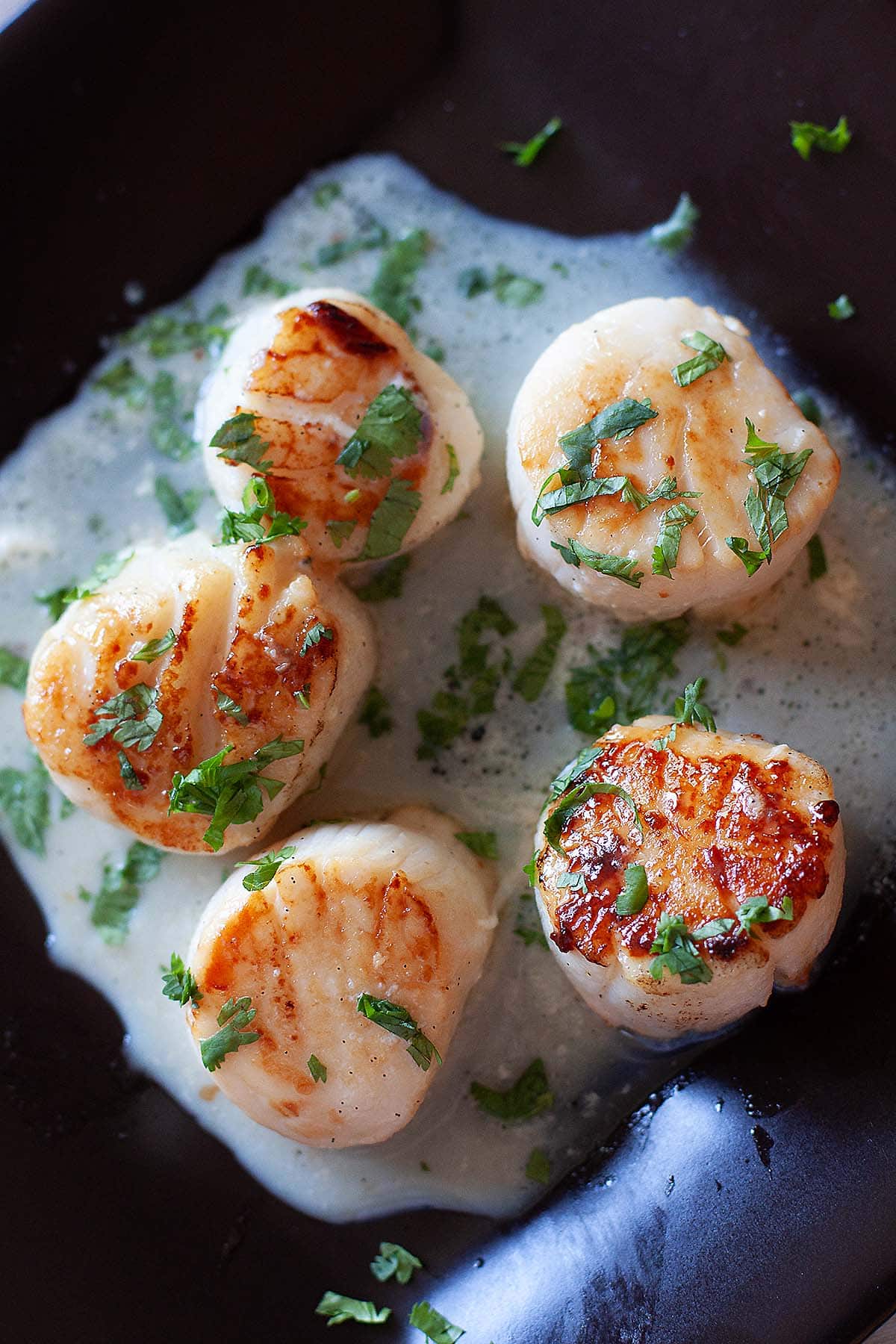 Seared Scallops with garlic herb sauce. 