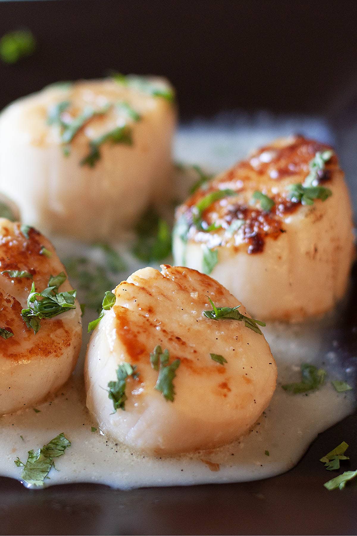 Seared scallops with garlic herb and topped with chopped parsley. 